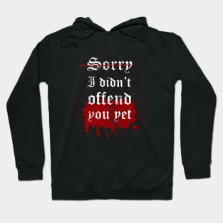 Sorry I didn't offend you yet Hoodie